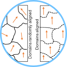 Science Step4